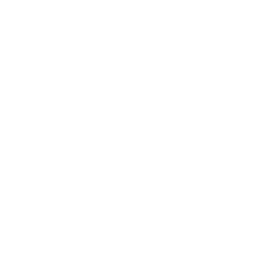 Icon-Leistungen